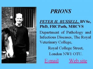 PRIONS PETER H RUSSELL BVSc Ph D FRCPath