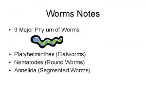 Worms Notes 3 Major Phylum of Worms Platyhelminthes