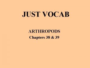 JUST VOCAB ARTHROPODS Chapters 38 39 PRACTICE VOCAB