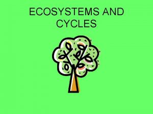 ECOSYSTEMS AND CYCLES EVERYTHING IS CONNECTED Ecology is