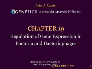 Peter J Russell A molecular Approach 2 nd