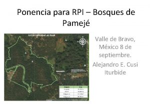 Ponencia para RPI Bosques de Pamej Valle de