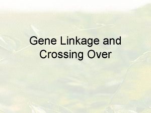 Gene Linkage and Crossing Over Gene Linkage Crossing