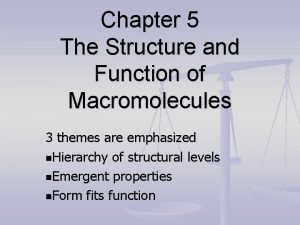 Chapter 5 The Structure and Function of Macromolecules