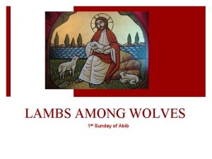 LAMBS AMONG WOLVES 1 st Sunday of Abib