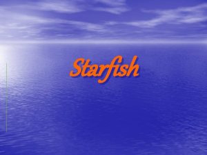 Starfish physical description