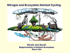 Nitrogen and Ecosystem Nutrient Cycling Nicole and Sarah