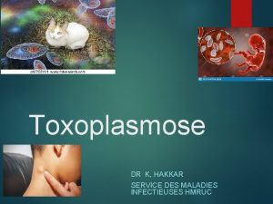 Toxoplasmose DR K HAKKAR SERVICE DES MALADIES INFECTIEUSES