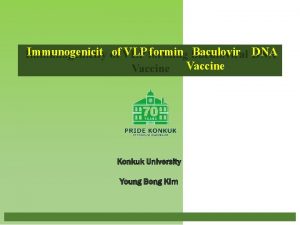 Immunogenicity of VLP forming Baculoviral DNA Vaccine Vaccines