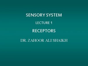 SENSORY SYSTEM LECTURE 1 RECEPTORS DR ZAHOOR ALI