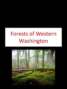 Forests of Western Washington Washingtons Climate Washingtons Biomes