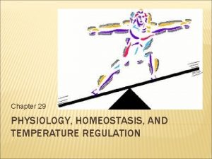 Chapter 29 PHYSIOLOGY HOMEOSTASIS AND TEMPERATURE REGULATION PHYSIOLOGY