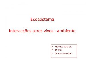 Ecossistema Interaces seres vivos ambiente Cincias Naturais 8