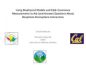 Using Biophysical Models and Eddy Covariance Measurements to