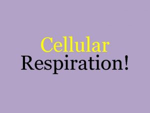 Cellular Respiration Cellular Respiration Purpose process that releases