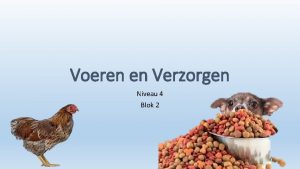 Voeren en Verzorgen Niveau 4 Blok 2 Wat