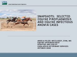 SNAPSHOTS SELECTED EQUINE PIROPLASMOSIS AND EQUINE INFECTIOUS ANEMIA
