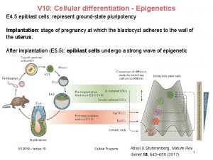 V 10 Cellular differentiation Epigenetics E 4 5