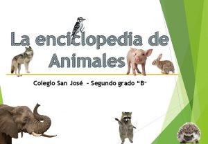 La enciclopedia de Animales Colegio San Jos Segundo
