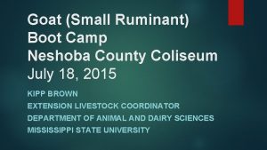 Goat Small Ruminant Boot Camp Neshoba County Coliseum