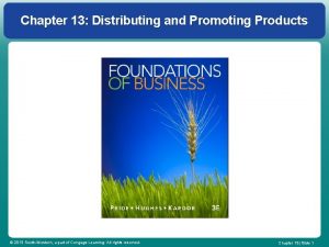 Chapter 13 distributing and promoting products