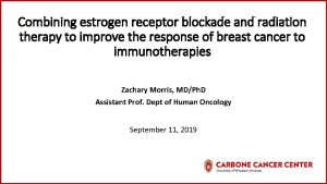Combining estrogen receptor blockade and radiation therapy to