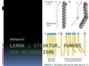 Artharini I LEMAK STRUKTUR FUNGSI DAN METABOLISME LEMAK