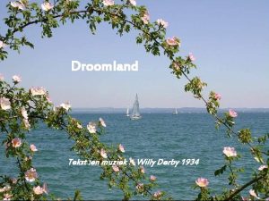 Droomland willy derby