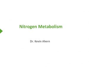 Nitrogen Metabolism Dr Kevin Ahern Nitrogen Metabolism Nitrogen