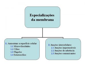 Especializações da membrana