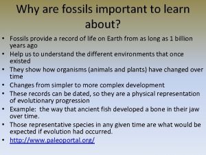 Why are fossils important to learn about Fossils