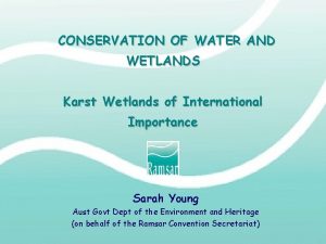 CONSERVATION OF WATER AND WETLANDS Karst Wetlands of