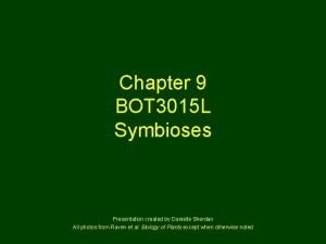 Chapter 9 BOT 3015 L Symbioses Presentation created