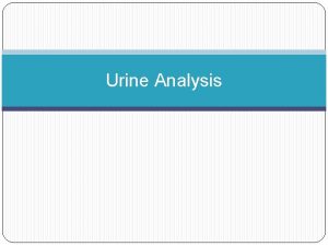 Urine Analysis Urine Urine is formed in the