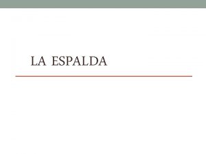 LA ESPALDA Se extiende desde el crneo hasta