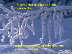 Pablo neruda muere lentamente quien no viaja