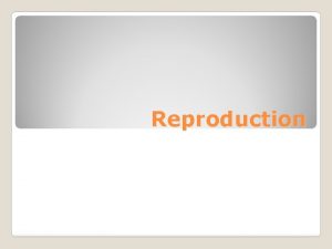 Reproduction Reproduction Organisms produce new organisms like themselves