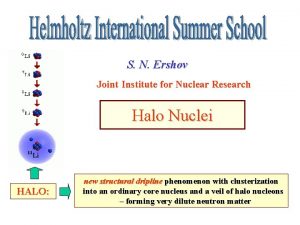 S N Ershov Joint Institute for Nuclear Research