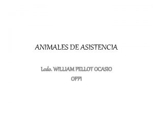 ANIMALES DE ASISTENCIA Lcdo WILLIAM PELLOT OCASIO OPPI