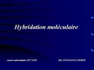 Hybridation molculaire Anne universitaire 20172018 DR OULDJAOUI AHMED