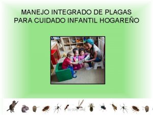 MANEJO INTEGRADO DE PLAGAS PARA CUIDADO INFANTIL HOGAREO