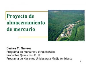 Proyecto de almacenamiento de mercurio Desiree M Narvaez