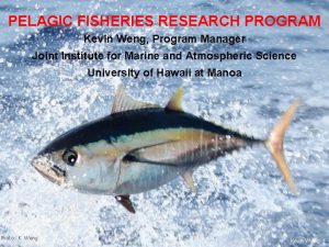 PELAGIC FISHERIES RESEARCH PROGRAM Kevin Weng Program Manager