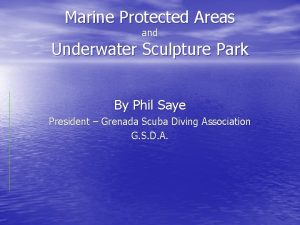 Marine Protected Areas and Underwater Sculpture Park By