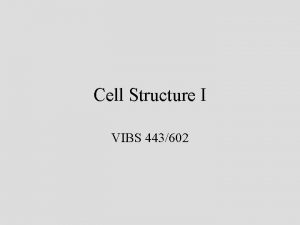 Cell Structure I VIBS 443602 148 Ileum 148