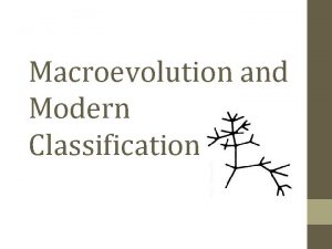 Macroevolution and Modern Classification Microevolution Observing allele frequencies
