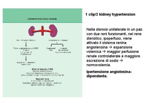 1 clip2 kidney hypertension Nella stenosi unilaterale in