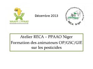 Dcembre 2013 Atelier RECA PPAAO Niger Formation des