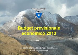 Budget previsionale economico 2013 COMITATO CENTRALE DI INDIRIZZO