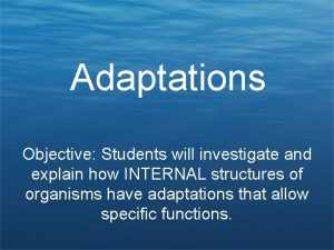 Adaptations Objective Students will investigate and explain how
